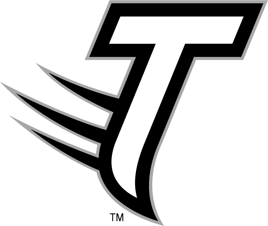 Towson Tigers 2002-2011 Secondary Logo DIY iron on transfer (heat transfer)